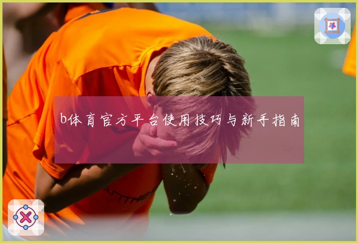 b体育官方平台使用技巧与新手指南