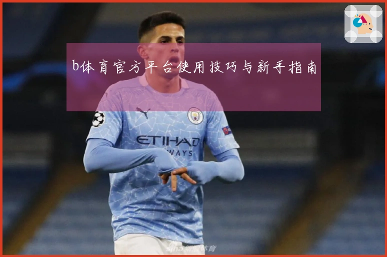 b体育官方平台使用技巧与新手指南