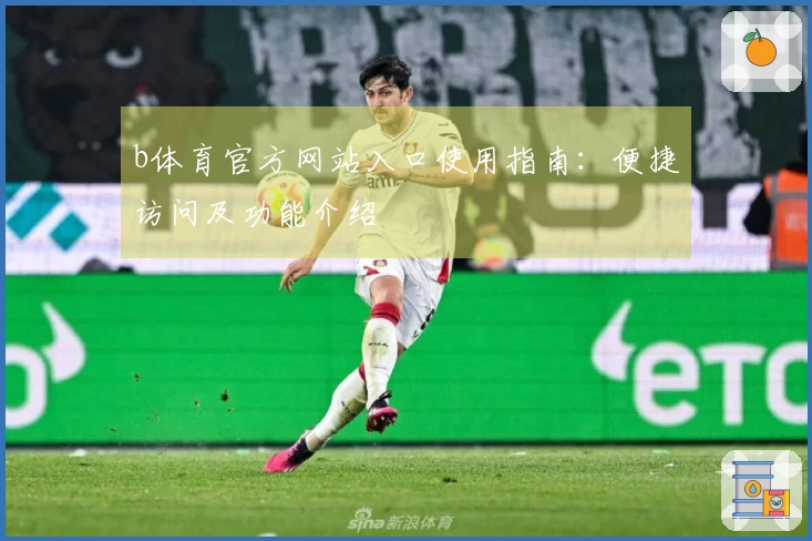 b体育官方网站入口使用指南：便捷访问及功能介绍