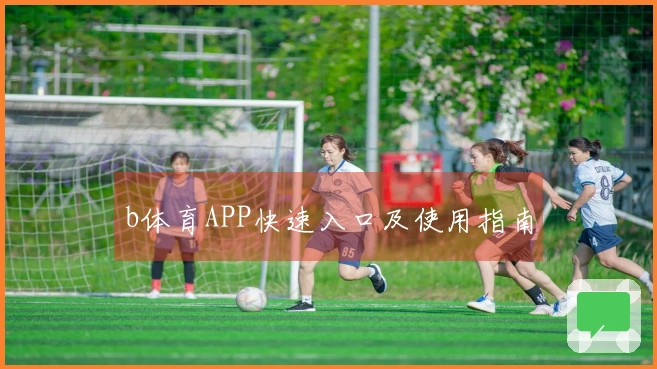 b体育APP快速入口及使用指南