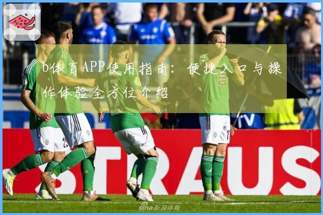 b体育APP使用指南：便捷入口与操作体验全方位介绍