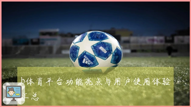 b体育平台功能亮点与用户使用体验汇总