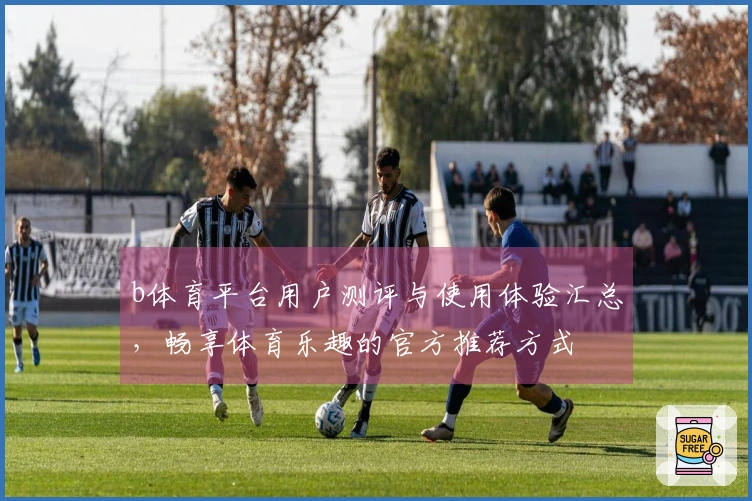 b体育平台用户测评与使用体验汇总，畅享体育乐趣的官方推荐方式